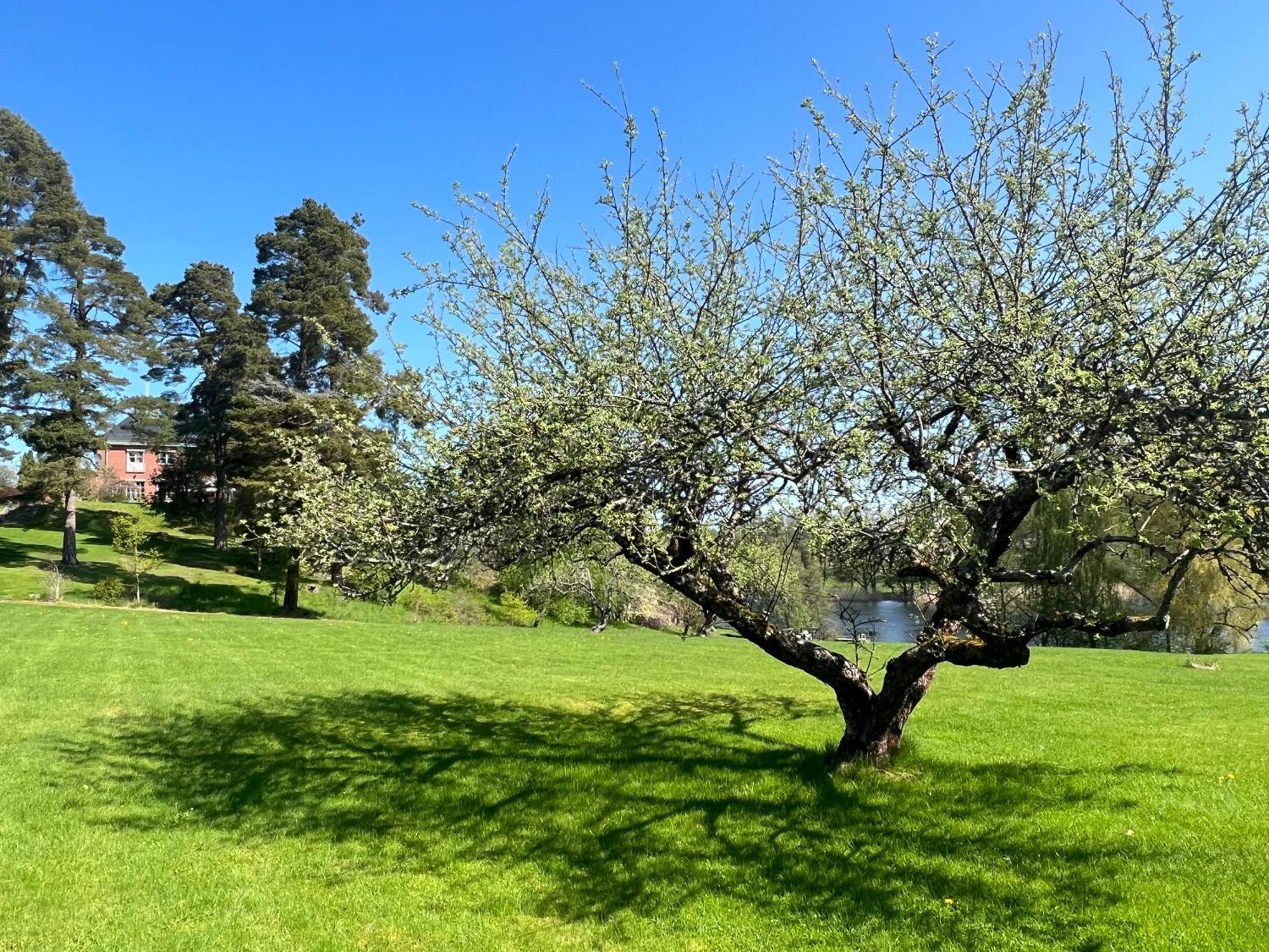 Villa Billerud Säffle Exteriér fotografie